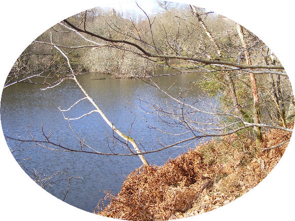 Voir diaporama Roc Branlan Etang des cygnes