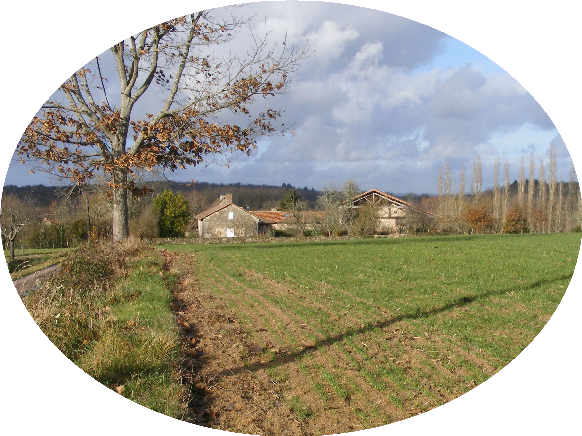 Voir diaporama Les Blancs
