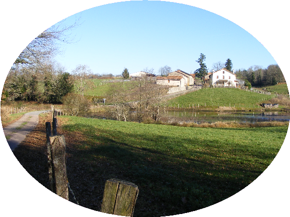Voir diaporama, Les Forts