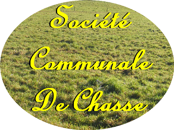 Village St Estphe